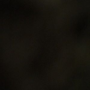 Meet your Posher, Lucy